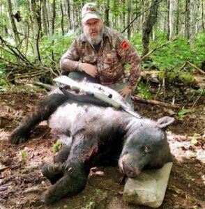 Nice 400+lb Maine Black Bear!